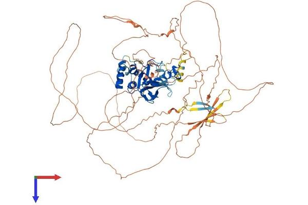 SUV420H1 Protein (AA 1-885) (His tag)