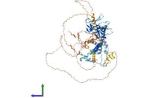 Protein Structure (PS) image for PHD Finger Protein 17 (PHF17) (AA 1-842) protein (His tag) (ABIN7554196)