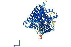 Protein Structure (PS) image for Membrane Bound O-Acyltransferase Domain Containing 4 (MBOAT4) (AA 1-435) protein (His tag) (ABIN7562801)
