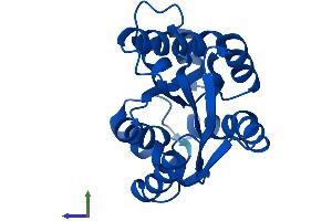 Protein Structure (PS) image for Cytidine Monophosphate (UMP-CMP) Kinase 1, Cytosolic (CMPK1) (AA 1-196) protein (His tag) (ABIN7561293)