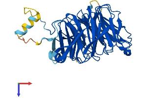 ARPC1A Protein (AA 1-370) (His tag)