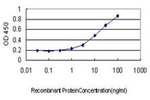 Detection limit for recombinant GST tagged SMAD3 is approximately 1ng/ml as a capture antibody. (SMAD3 Antikörper  (AA 1-110))