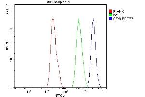 Flow Cytometry analysis of A549 cells using anti-Cbx8 antibody (ABIN7599341). (CBX8 Antikörper  (AA 1-389))