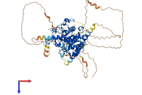 MTMR14 Protein (AA 1-650) (His tag)