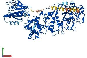 Protein Structure (PS) image for Ras Homolog Gene Family, Member T1 (RHOT1) (AA 1-631) protein (His tag) (ABIN7558526)