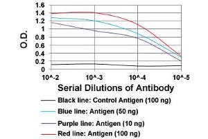 ELISA analysis of PLA2G12A monoclonal antibody, clone 3H2C11  at 1:10000 dilution. (PLA2G12A Antikörper  (AA 21-189))