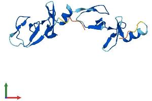 Protein Structure (PS) image for LIM Domain Only 1 (Rhombotin 1) (LMO1) (AA 1-156) protein (His tag) (ABIN7551314)