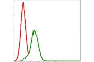 Flow cytometric analysis of Jurkat cells using GSTM1 mouse mAb (green) and negative control (red). (GSTM1 Antikörper)