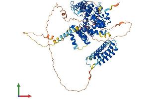 Protein Structure (PS) image for G Protein-Coupled Receptor Kinase Interactor 2 (GIT2) (AA 1-708) protein (His tag) (ABIN7561681)