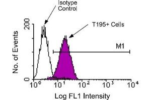 Flow Cytometry (FACS) image for anti-T-Cell Receptor gamma/delta (TCR gamma/delta) antibody (ABIN371051) (TCR gamma/delta Antikörper)