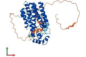 AlphaFold protein structure predicition of Human Recombinant PDSS1 Protein, UniprotID Q5T2R2