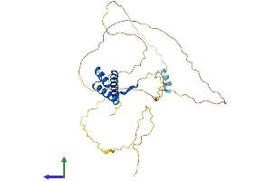 Protein Structure (PS) image for Homeobox A11 (HOXA11) (AA 1-313) protein (His tag) (ABIN7548484)
