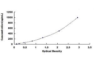 Typical standard curve (CCL7 ELISA Kit)