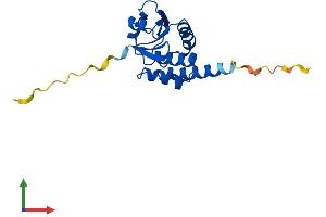AlphaFold protein structure predicition of Human Recombinant DUSP28 Protein, UniprotID Q4G0W2