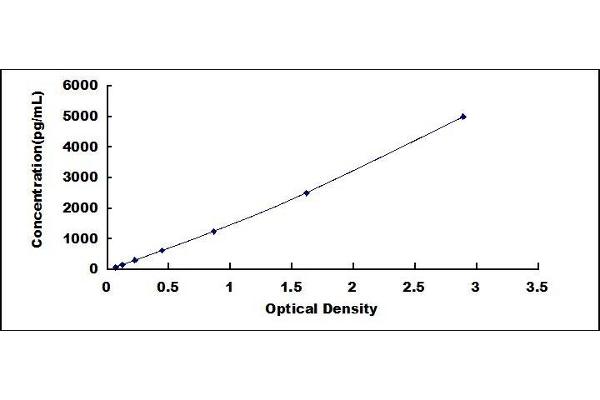 DPP7 ELISA Kit