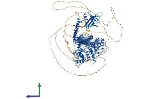 AlphaFold protein structure predicition of Human Recombinant ASAP1 Protein, UniprotID Q9ULH1