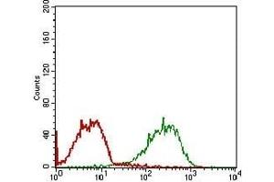 Flow cytometric analysis of MCF-7 cells using RELB mouse mAb (green) and negative control (red). (RELB Antikörper  (AA 273-443))