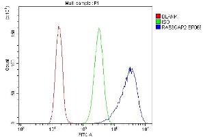 Flow Cytometry analysis of CACO-2 cells using anti-RAB3GAP2 antibody (ABIN6719633). (RAB3GAP2 Antikörper  (AA 1-115))