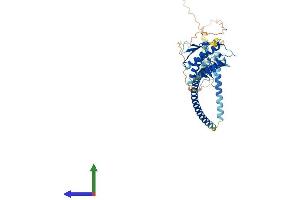 AlphaFold protein structure predicition of Mouse Recombinant Becn1 Protein, UniprotID O88597