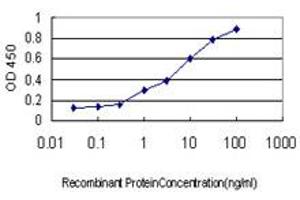Detection limit for recombinant GST tagged USP5 is approximately 0. (USP5 Antikörper  (AA 71-180))