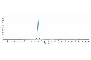 The purity of Anti-CTLA-4 / CD152 Reference Antibody (nurulimab) is 100 % , determined by SEC-HPLC. (Rekombinanter CTLA4 (Nurulimab Biosimilar) Antikörper)