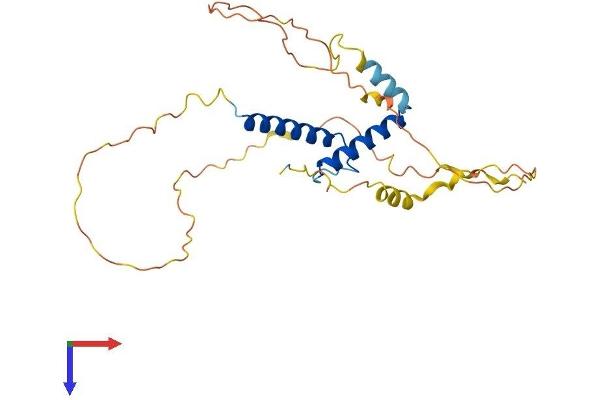 MESP1 Protein (AA 1-268) (His tag)