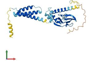 AlphaFold protein structure predicition of Human Recombinant POPDC3 Protein, UniprotID Q9HBV1