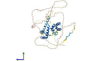 AlphaFold protein structure predicition of Human Recombinant POU3F2 Protein, UniprotID P20265