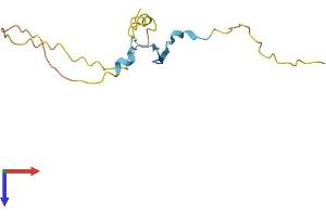 Proline Rich 15 Protein (PRR15) (AA 1-122) (His tag)