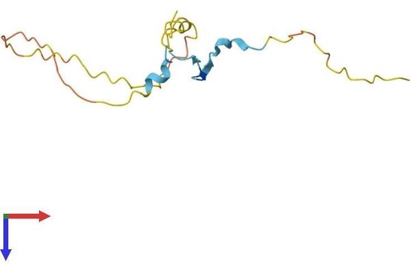 Proline Rich 15 Protein (PRR15) (AA 1-122) (His tag)