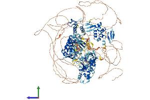 Protein Structure (PS) image for HECT, C2 and WW Domain Containing E3 Ubiquitin Protein Ligase 2 (HECW2) (AA 1-1572) protein (His tag) (ABIN7554067)