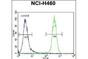 CCDC63 Antibody (C-term) (ABIN655453 and ABIN2844981) flow cytometric analysis of NCI- cells (right histogram) compared to a negative control cell (left histogram). (CCDC63 Antikörper  (C-Term))
