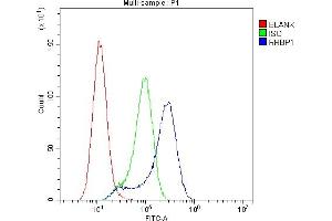 Flow Cytometry analysis of A549 cells using anti-RRBP1 antibody (ABIN6719628). (RRBP1 Antikörper)