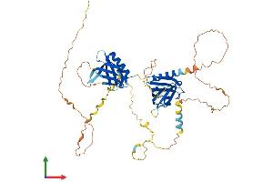Protein Structure (PS) image for Docking Protein 1, 62kDa (Downstream of tyrosine Kinase 1) (DOK1) (AA 1-482) protein (His tag) (ABIN7556814)