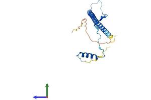 Protein Structure (PS) image for Prkr Interacting Protein 1 (IL11 Inducible) (PRKRIP1) (AA 1-184) protein (His tag) (ABIN7550738)