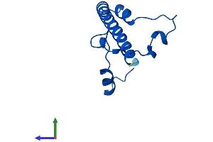 AlphaFold protein structure predicition of Human Recombinant RPL13AP3 Protein, UniprotID Q6NVV1