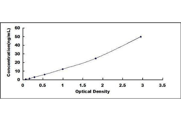 Laminin beta 3 ELISA Kit