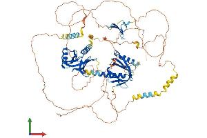 Protein Structure (PS) image for Amyloid beta (A4) Precursor Protein-Binding, Family B, Member 2 (APBB2) (AA 1-758) protein (His tag) (ABIN7552311)