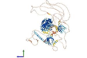 Protein Structure (PS) image for Tight Junction Protein 2 (Zona Occludens 2) (TJP2) (AA 1-1190) protein (His tag) (ABIN7556089)