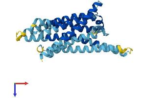 Taste Receptor, Type 2, Member 50 (TAS2R50) (AA 1-299) protein (His tag)