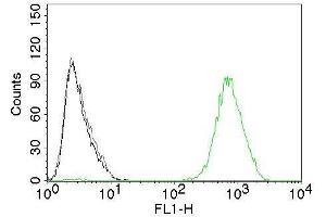 Flow Cytometry of human EGFR on A431 cells. (EGFR Antikörper  (Extracellular Domain) (CF®488A))
