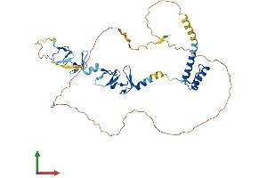 Protein Structure (PS) image for LIM Homeobox 4 (LHX4) (AA 1-390) protein (His tag) (ABIN7563437)