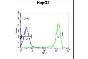 Flow cytometric analysis of HepG2 cells (right histogram) compared to a negative control cell (left histogram). (FAAH2 Antikörper  (C-Term))