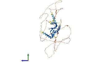 Protein Structure (PS) image for DCP1 Decapping Enzyme Homolog A (S. Cerevisiae) (DCP1A) (AA 1-582) protein (His tag) (ABIN7547046)