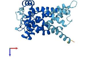 SLC25A35 Protein (AA 1-300) (His tag)