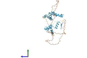 Protein Structure (PS) image for Zinc Finger Protein 396 (ZNF396) (AA 1-335) protein (His tag) (ABIN7545269)