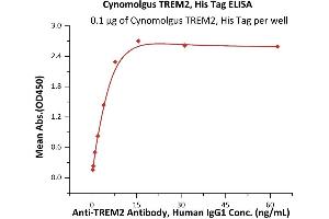 ELISA image for Triggering Receptor Expressed On Myeloid Cells 2 (TREM2) (AA 19-174) (Active) protein (His tag) (ABIN7013655)