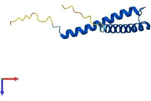 TIMM8A/DDP Protein (AA 1-97) (His tag)