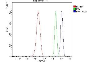 Flow Cytometry analysis of ANA-1 cells using anti-GADD34/Ppp1r15a antibody (ABIN7600031).