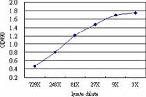 Sandwich ELISA detection sensitivity ranging from approximately 81x to 3x dilution of the PTK2B 293T overexpression lysate (non-denatured).